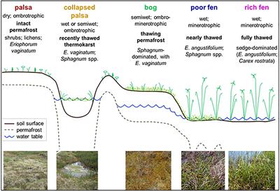 Microbial Community Analyses Inform Geochemical Reaction Network Models for Predicting Pathways of Greenhouse Gas Production